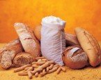Importancia de: Carbohidratos