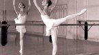 Importancia de: Danza