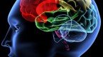 Importancia de: Aprendizaje Cognitivo