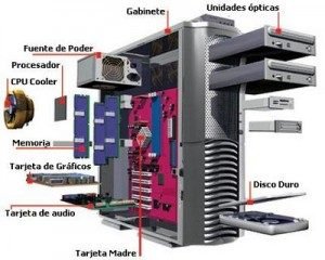 Importancia de: Hardware