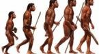 Homo Sapiens