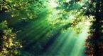Naturaleza