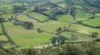 Territorio
