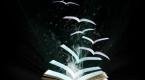 Fomento de la Lectura