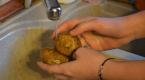 Manipulación de Alimentos