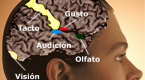Percepción