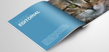 Diseño Editorial