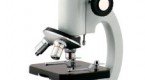 Microscopio