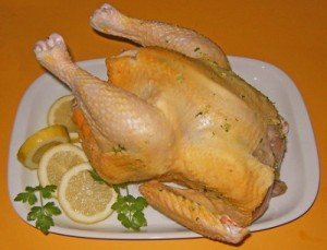 Pollo