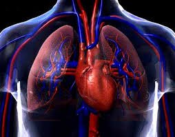 Ritmo Cardiaco