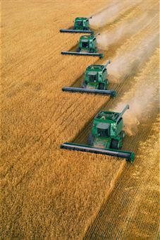 Agricultura Intensiva