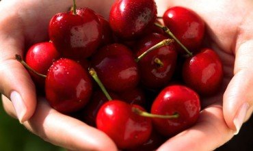 Cerezas