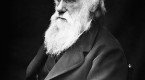 Aportaciones de Darwin Aportaciones de Darwin