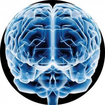 neuropsicilogia