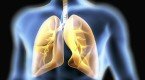 Oxígeno en el Cuerpo Humano