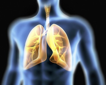Oxígeno en el Cuerpo Humano