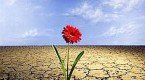 Resiliencia Resiliencia